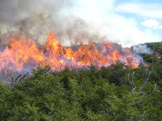 Aviones lusos apagarán fuegos forestales adentrándose 15 kilómetros tras un acuerdo con España