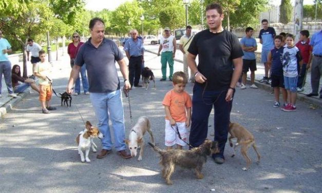 Garrovillas de Alconétar congrega a 70 perros de caza en la I muestra organizada por el ayuntamiento