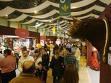Extremadura presenta en la Feria Mundial del Toro «Somos Dehesa» para potenciar el ganado bravo