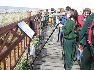 La Sierra de Hornachos impartirá un taller que enseñará la observación de aves el próximo 15 de octubre