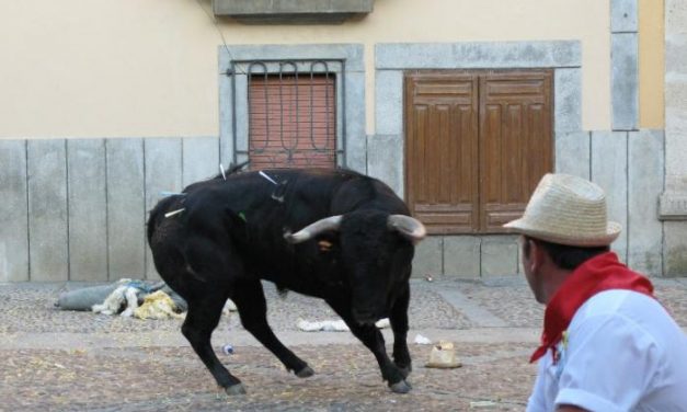 El toro de El 27 muere en La Cava de la ciudad de Coria ante cientos de aficionados