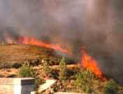 El fuego arrasó 2.300 hectáreas en el 2008, el registro más bajo de la década