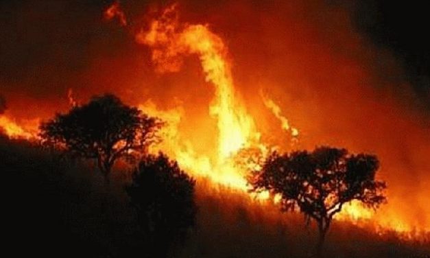 La Junta declara peligro medio de incendios forestales en Gata, Hurdes, Monfragüe, Ambroz, Jerte y Tiétar