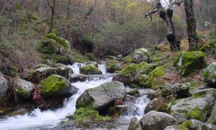 Extremadura establece 25 medidas contra el cambio climático para ejecutar entre los años 2009 y 2011