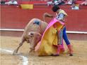 El mundo de los toros ocupará el programa festivo de San Marcos en la localidad cacereña de Talayuela