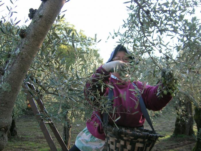 Vara se compromete con las mujeres rurales a eliminar los obstáculos en las explotaciones agrarias