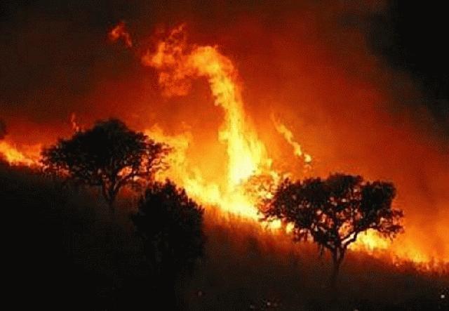 La Junta anula el peligro medio de incendios en el norte de Cáceres debido a las últimas lluvias registradas