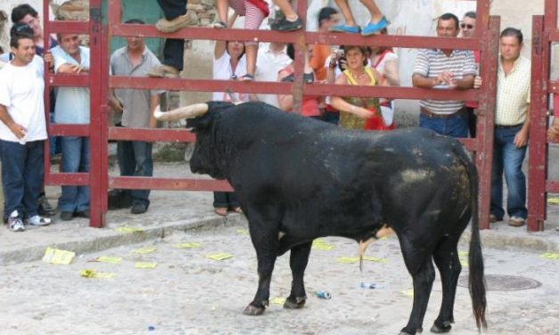 Puebla de Argeme programa ocho festejos taurinos durante el fin de semana con motivo de sus fiestas