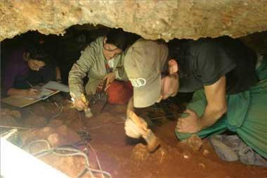 Los restos humanos hallados en Maltravieso permiten conocer la vida de los cacereños hace 3.500 años