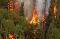 El DOE publica la orden de la época de peligro alto de incendios en Extremadura del 1 de junio al 15 octubre