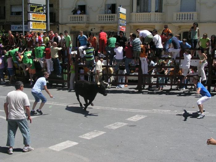 El Ayuntamiento de Coria mantiene que no habrá encierro matinal el 26 de junio con becerras o vaquillas