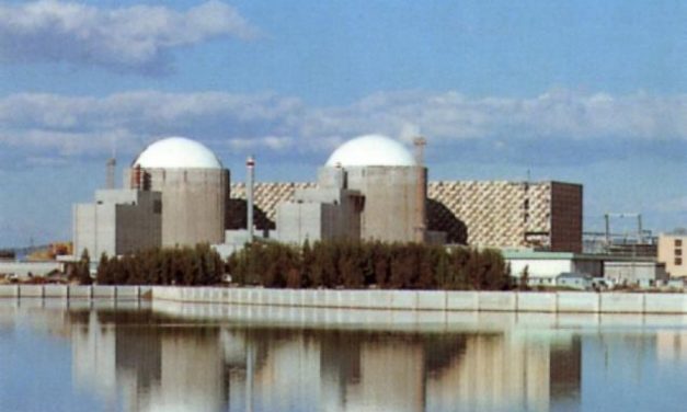 ADENEX asegura que existen «fallos» que aplazan el arranque de la Central Nuclear de Almaraz