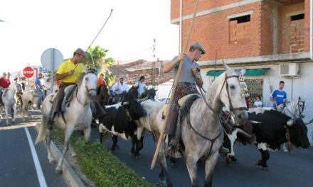 La Junta diseña rutas de agroturismo para visitar explotaciones de toros de lidia y de ganado equino