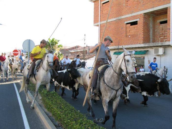 La Junta diseña rutas de agroturismo para visitar explotaciones de toros de lidia y de ganado equino