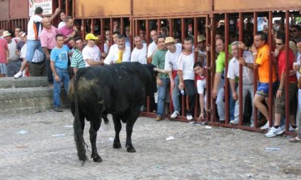 El alcalde de Coria pide en un bando a los ciudadanos que se respete la integridad del toro durante San Juan