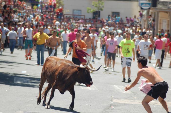 San Juan 2009 comienza con la lidia de la vaca de la peña de La Rana que ha finalizado sin incidentes ni percances