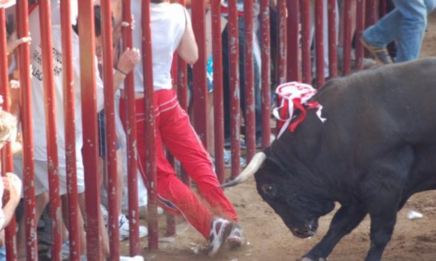 Victorioso, el toro de la tarde del 25, hiere a un joven de Leganés en una pierna y le manda al hospital de Coria