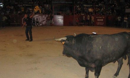 Los primeros festejos taurinos de San Buenaventura en Moraleja dejan dos heridos leves