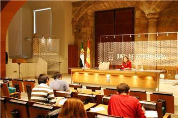 La Junta de Extremadura adquirirá 660.000 vacunas para combatir la gripe A a partir del otoño