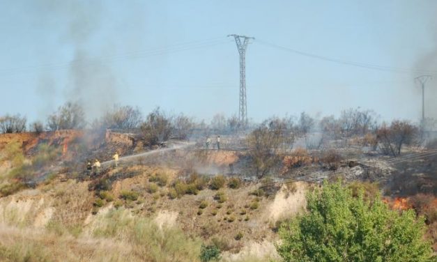 Un incendio provocado afecta a cuatro hectáreas de matorral próximas al Hotel Montesol de Coria