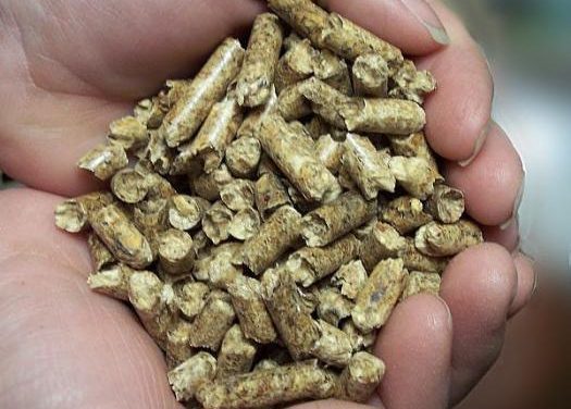 La firma Biolumasa invertirá 4,5 millones de euros en una industria de «pellets» en la dehesa de Moraleja