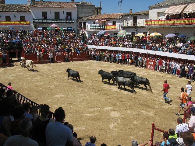 El Ayuntamiento de Moraleja valora positivamente que los menores no participen en festejos taurinos