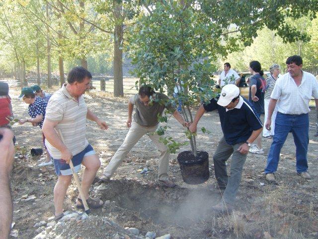 Más de 100 personas participan en la jornada de reforestación «Resurgir del fuego» de Las Hurdes