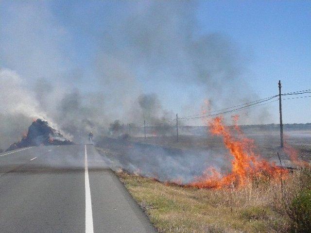 El incendio de un remolque cargado de paja dificulta la circulación en la carretera que une Cilleros con Portugal
