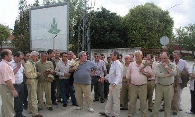 Los responsables de los municipios tabaqueros socialistas lanzan un mensaje de tranquilidad al sector