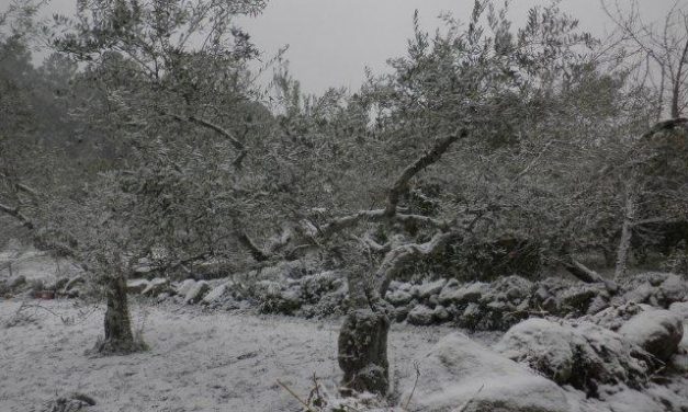 La nieve cubre de blanco el norte de Cáceres 25 años después de la última nevada