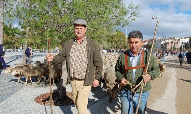 Extremadura participa en un proyecto nacional para recuperar el pastoreo