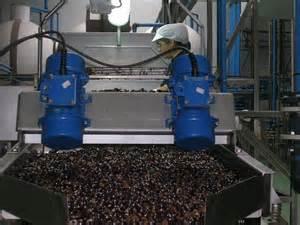 Las exportaciones de aceite de oliva alcanzan su máximo histórico con 1.110.800 toneladas, un 43% más que la media de las cuatro campañas anteriores