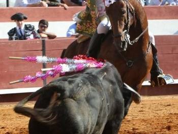 Los eventos taurinos estarán presentes en la XIX Feria Rayana con corridas de rejones y espectáculos de forcados