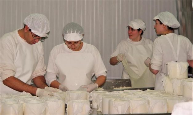La DOP Torta del Casar hace un llamamiento al consumidor para apoyar a ganaderos y queseros
