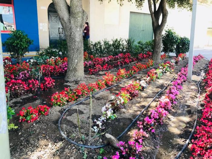 Flores de colores para cuidar el estado de ánimo de los vecinos, la nueva iniciativa del consistorio de Moraleja