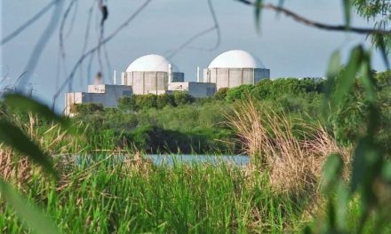 Ecologistas en Acción denuncia que la «amenaza» nuclear en Almaraz se prolongará ocho años más