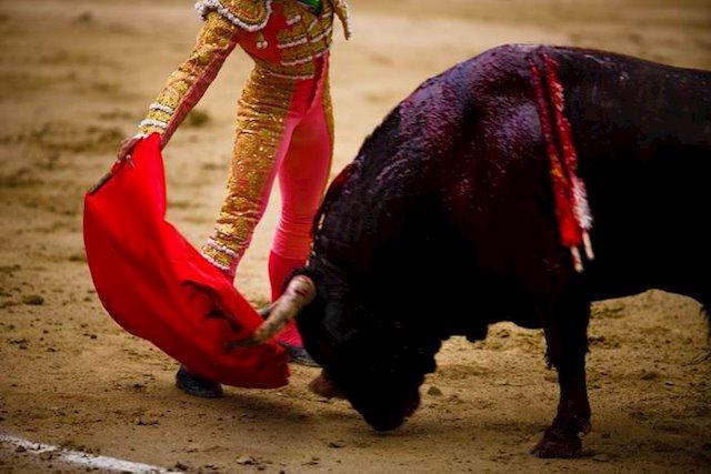Alberto Manuel Hornos a Pablo Iglesias: «El que incomoda al mundo del toro es este personaje»