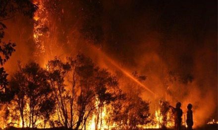 Extremadura cuenta con 1.010 efectivos del Infoex para la época de alto riesgo de incendios