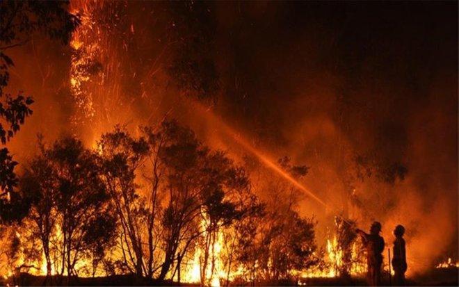 Extremadura cuenta con 1.010 efectivos del Infoex para la época de alto riesgo de incendios