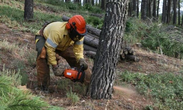 La época de peligro alto de incendios forestales arrancará en Extremadura el próximo lunes