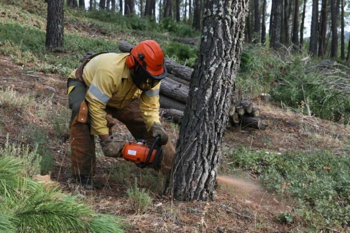 La época de peligro alto de incendios forestales arrancará en Extremadura el próximo lunes