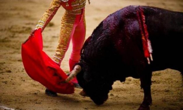 Asaja Extremadura critica la «discriminación» contra los espectáculos taurinos en la desescalada