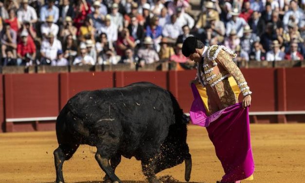 Extremadura financiará proyectos y material didáctico que fomente la cultura taurina