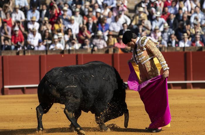 Extremadura financiará proyectos y material didáctico que fomente la cultura taurina