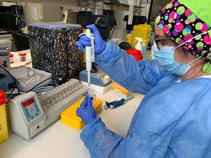 Vara plantea al Gobierno realizar test que distingan la Covid-19 de la gripe estacional