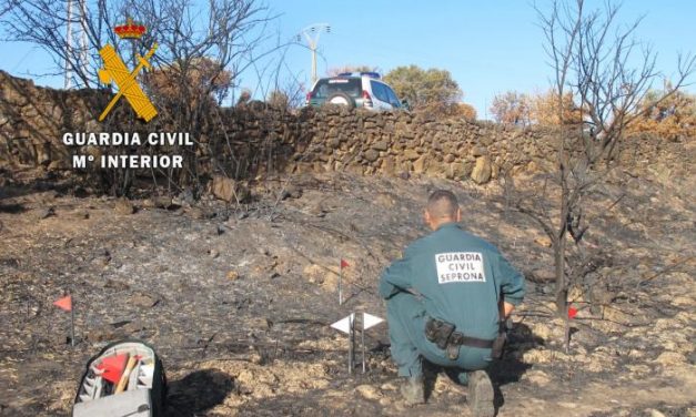El Seprona investiga a un ciudadano de Piornal por ser el presunto autor de un incendio en Cuacos