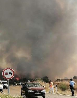 Un incendio “de gran magnitud” se propaga a Zarza la Mayor desde la zona fronteriza con Portugal