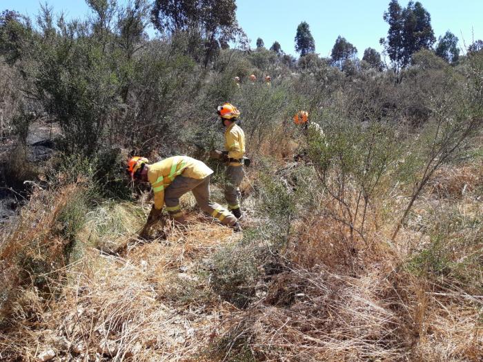 El Infoex calcula que el incendio trasfronterizo ha arrasado más de 150 hectáreas españolas