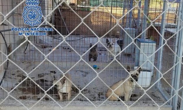 Policía Nacional desmantela en Don Benito un criadero ilegal de perros en «pésimas condiciones»