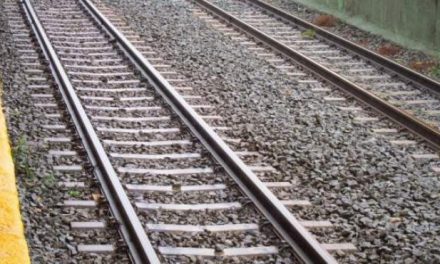 Vara traslada el compromiso del Gobierno de poner en servicio el tramo ferroviario Plasencia-Badajoz en 2021